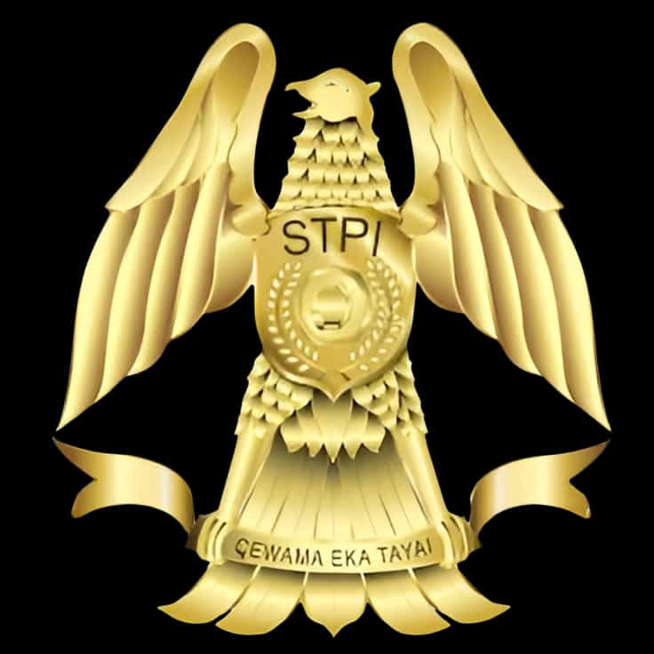 Logo STPI